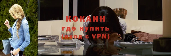 прущие грибы Карталы